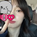 [Wedding-16] 대전 밀라드 스튜디오 웨딩 촬영 후기 with 플랜무드니 화진플