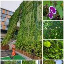 검단출장소 이미지