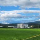 연곡면사무소(버스정류장) 이미지