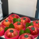 연산부인과의원 네이버블로그