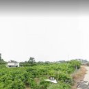 세림부동산공인중개사사무소 이미지
