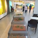 참외생태학습원 이미지