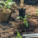 텃밭가꾸기 이미지