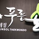 사계절푸른솔태권도 이미지