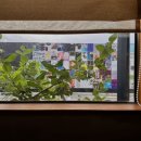 잃어버린것들을찾아서 이미지