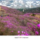 포항종합제철(주)광양제철소 - 6290 | 포항종합제철(주)광양제철소