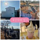 서부목장 | 서귀포카페 체험 풀코스 후기 목장카페 밭디🐎☕