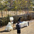 UR(광주광역시)-[도시첨단산업로]-하-2 | 광주 풍선 장식 어반브룩 웨딩장식은 삐에로공에게