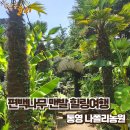 금호농원 | 편백나무 맨발 힐링여행, 통영 나폴리농원