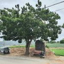 신광보건지소 이미지