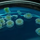 (주)바이오솔 | 텀블러 세척방법·주의사항 총정리 (변기보다 더러운 이유)
