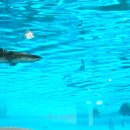 부산해양박물관 이미지