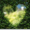 하늘정원치과의원 이미지