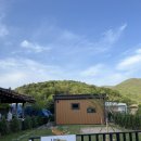 little tiny(리틀 타이니) | [경남/거제] 한적한 숲속에 위치한 숙소 추천“리틀타이니하우스(Little Tiny House)”