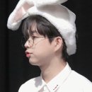 왈왈이 이미지