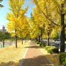 대구가톨릭대학교 이미지