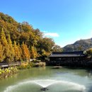 오월쉼표 | 🌿 곤지암 화담숲 가을여행 후기｜가을 단풍길 트레킹 코스 &amp; 예약 팁🍁