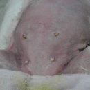 제이엘동물병원 이미지