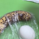 (주)엠디파트너 | 스타벅스 : 파트너 3달 근무 후기ㅣ스벅 매장 고르는 꿀팁ㅣ비추 매장