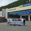 임숙자농장 네이버블로그