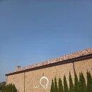 IKKI | 제주 이끼숲소길 카페 아이랑 가볼만한곳, 곶자왈 숲속 아지트 후기 🌿 (3월말 방문) 배우 유해진이 자주!!!