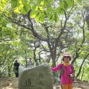 대전둘레산길(9구간) 이미지