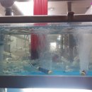 방아보쌈 이미지