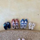 브레댄코 이미지