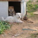 오류내낚시터 이미지