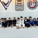 (학교)경포초 이미지