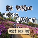 능내초등학교 | 2026 군포 철쭉축제 후기 주차 개화 상황 총정리(초대가수 일정까지)