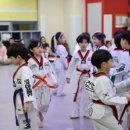 예건YTS태권도장 이미지