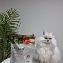 신양스틸 이미지