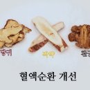 모든장기의 기능을 활성화하는 원기회복에 좋은 약 &#39;오적산 조회수 2만회 5년 전 이미지