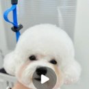 아트댕 이미지