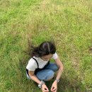 제주 1 / 느루온, 호텔시리우스, 잘도식당, 금호정육점, 용연구름다리, 그린루스카, 바리메오름, 성...