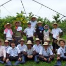 여주-0738 이미지