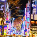 세븐일레븐 화곡중앙점 | 서울 명동 가볼만한곳 :: 명동 길거리음식 &amp; 서울 크리스마스 즐기기