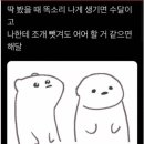 장군초밥 이미지