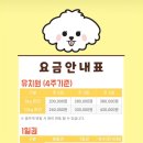 꼬순내유치원 이미지