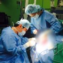 구지척앤본신경외과의원 이미지