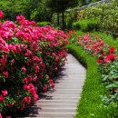 정관 구목정공원 이미지