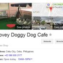 러비도기 이미지