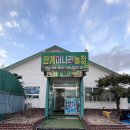 안계미나리농장 이미지