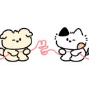 평대리 943 Tu Casa 이미지