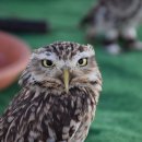 영어와 Craft 이미지