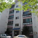 새천년대로 이미지