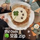 펫디저트(Pet Dessert) | 연남동 카페 Osds 오순도순 행케 메뉴 가격, 애견동반 가능 한 디저트 맛집 내돈내산
