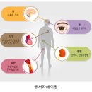 자애의원 네이버블로그