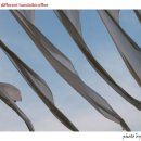 커피누리 이미지